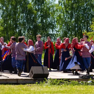 Купить пеларгонию Ю-Кадриль у коллекционера Анны из Анны