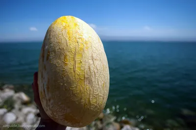 Где и за сколько можно отдохнуть на берегу Таджикского моря в этом году? |  Новости Таджикистана ASIA-Plus