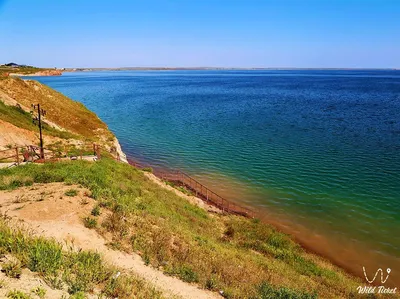 В чем опасность купания в Таджикском море? | Проза жизни | ШколаЖизни.ру