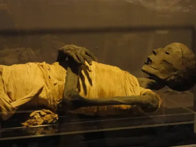 Каирский Египетский музей » Полетели.РУ