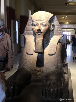 WHO is WHO - Музей Каира «Чем больше саркофаг, тем выше... | Facebook