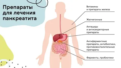 Хронический панкреатит у взрослых - причины, симптомы, лечение