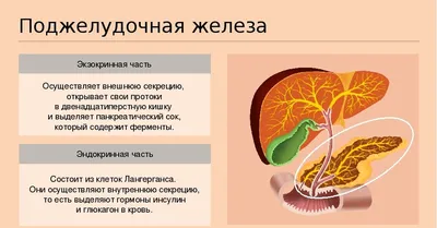 Симптомы и лечение диареи при панкреатите | Гастрит и Панкреатит | Дзен