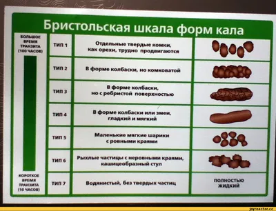 Жидкость в брюшной полости - причины появления, при каких заболеваниях  возникает, диагностика и способы лечения