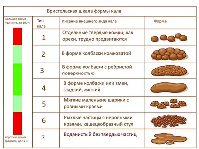 О каких ЗАБОЛЕВАНИЯХ предупреждает ваш КАЛ? Форма, цвет ЗДОРОВОГО стула. -  YouTube