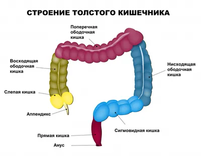 Vecherskaya I. Dushevnayakuli. 100 Receptov Pri Pankreat.a4 | PDF