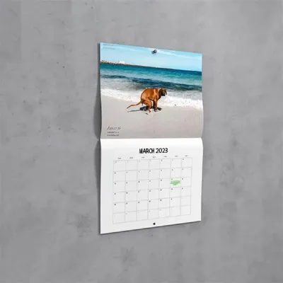 Календарь на стену с изображением собаки, 2023, Забавный Ландшафтный  календарь, стильный и интересный подарок для друзей, семьи, соседа, коллег,  родственников | AliExpress