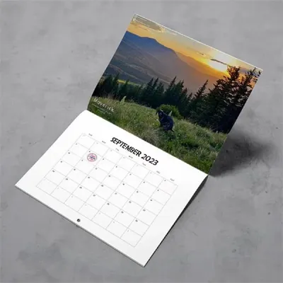 Вы любите настенные календари? 😁 А если календарь ещё и с юмором?🤣  #design #дизайн #calendar #календарь #logo #логотип #print #branding… |  Instagram