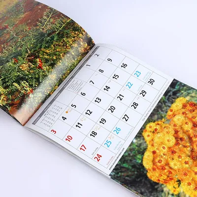 1 шт., декоративный подвесной календарь, календарь на стену «Год Дракона»,  календарь в китайском стиле на 2024 лунный календарь, подвесной календарь  на 2024 | AliExpress