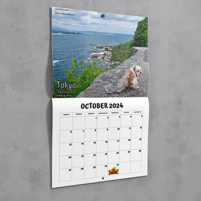 Календарь на стену с забавной собакой, календарь на стену 2024, календарь  на стену для друзей и семьи, календарь для дома, гостиницы, гостиной |  AliExpress