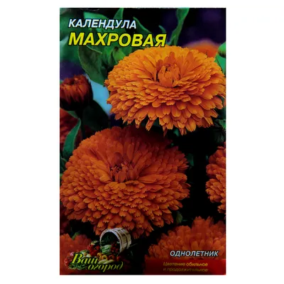 Календула махровая Шелковый поцелуй 1 г Велес: продажа, цена в Мариуполе.  Семена и клубни трав и цветов от \"Удачу на дачу\" - 1243853536