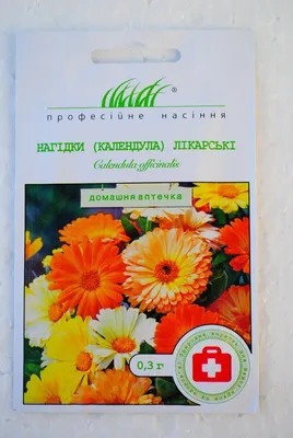 Календула Махровая смесь 0,3 г / семена однолетних цветов для сада /  однолетние цветы для балкона в грунт / | AliExpress
