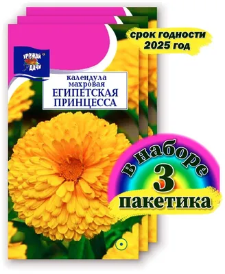 Семена ПОИСК Календула махровая Золотой император – купить онлайн, каталог  товаров с ценами интернет-магазина Лента | Москва, Санкт-Петербург, Россия