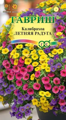 Калибрахое (Calibrachoa): уход, выращивание и разновидности | Сад цветов |  Дзен