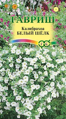 Калибрахоа ампельная (кашпо) купить по цене 950,00 руб. руб. в Москве в  садовом центре Южный