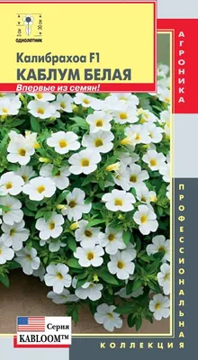 Калибрахоа: описание цветка, фото, особенности выращивания | Выращивание  цветов, Растения, Цветение