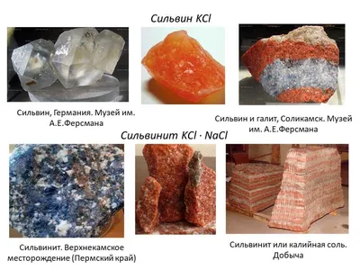 Сувенир из СССР (Калийная соль , Солигорск) , подставка дуб. Купить в  Минске — Другое Ay.by. Лот 5026728097