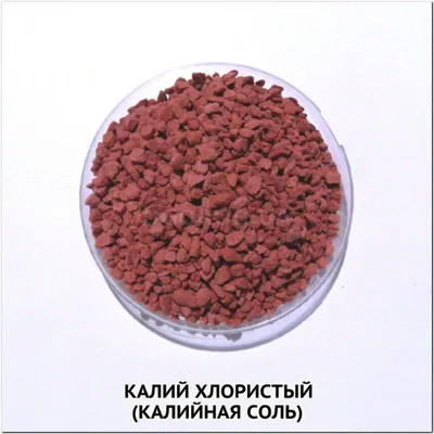 Удобрение Калийная соль (хлорид калия) 60%, 1кг (ID#1481658609), цена: 70  ₴, купить на Prom.ua