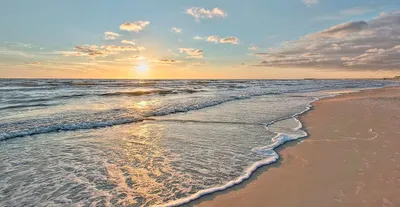 Стоя, лёжа и в воде: как выглядит пляж Зеленоградска в жаркий выходной