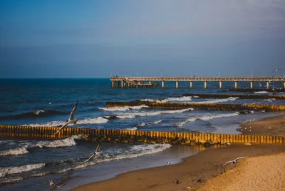 Янтарный пляж в Калининграде признан одним из лучших в мире | GQ Россия