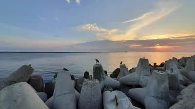 В Балтийском море у Зеленоградска установят 40-тонные буны