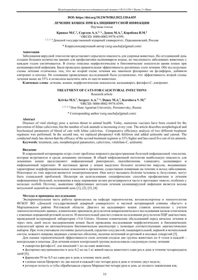 Почечная недостаточность у кошек, симптомы заболевания и диагностика