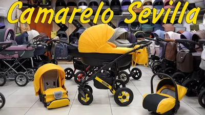 CAMARELO Sirion Eco 3in1 SIE-1 Универсальная коляска 3 в 1 / BabyBest.lv