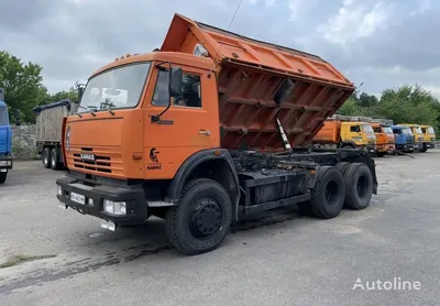 KAMAZ 45142 dump truck for sale Ukraine Gayvoron, FP38239