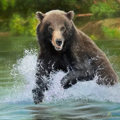 GISMETEO: Бурый медведь задрал работника маяка на Камчатке - Животные |  Новости погоды.