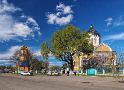 Билборд в городе Каменка #186587 по адресу на Александровку