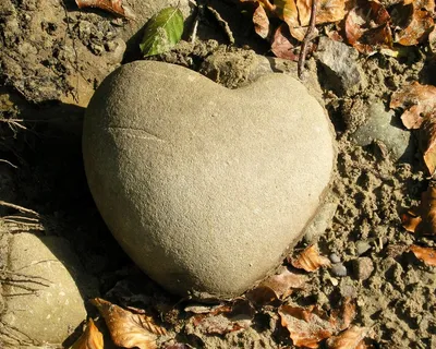 Каменное сердце в ваших руках Стоковое Фото - изображение насчитывающей  февраль, каек: 105729814