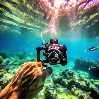 Камера для фото под водой фото