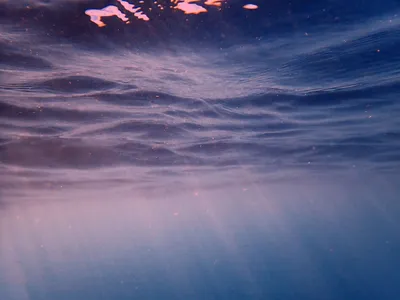 подводная камера. дайвер держит камеру для съемки под водой Стоковое  Изображение - изображение насчитывающей подныривание, фотограф: 244759457