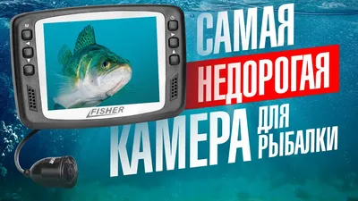Беспроводная камера для подводной рыбалки, система записи видео,  рыболокатор, приключения под водой, 2,4G, Wi-Fi, управление с телефона |  AliExpress