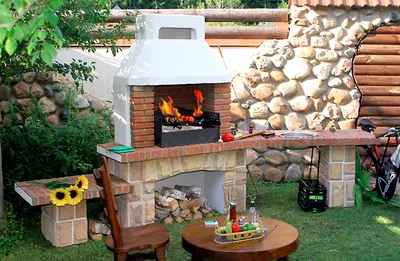 Печи-камины | Недорогие камины для дачи Oranier | Печь-камин Oranier Arena  | Дизайн огня