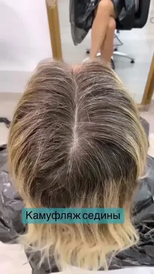 Камуфляж седины окрасочными средствами Redken - метро Коломенская - мужской  парикмахер Елизавета Алфёрова