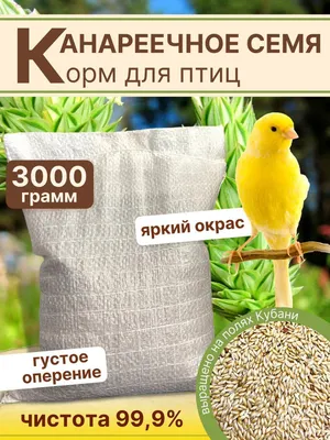 Канареечное семя \"Перрико\" для птиц, пакет 200 г (898643) - Купить по цене  от 124.00 руб. | Интернет магазин SIMA-LAND.RU