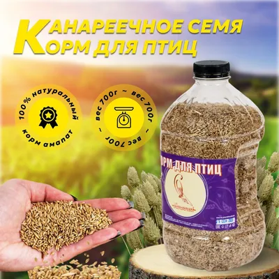 FIORY Корм для канареек ORO MIX Canarini смесь для канареек 400 гр. купить  по цене 655 руб. | Планета животных