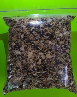 Купить семена Канарник - семена кормовых трав от 1 кг Канарник