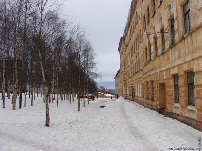 ул. Фрунзе :: Борис :: Военный городок :: Фотографии Кандалакши