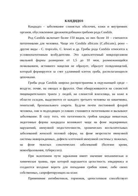 Травяной сбор Грибок-минус, от грибка ногтей на ногах, от молочницы / 108  трав, 90 таблеток - купить с доставкой по выгодным ценам в  интернет-магазине OZON (887875502)