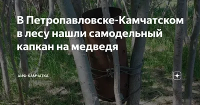 Восьмилетняя девочка угодила в капкан и встретилась с медведем в Подмосковье