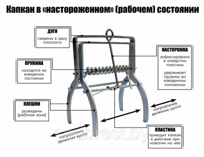 Капкан №2 купить -