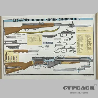 Купить оружие СКС-О к.7,62х39 (ЗИД) по приемлемым ценам в оружейном  магазине.