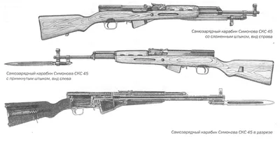 Обзор карабина СКС: гладкие и нарезные версии