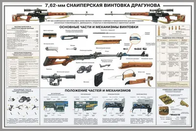 Карабин Тигр 9 9,3×64 550 мм (5333) – купить в Киеве, Харькове |  zbroya.store