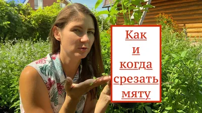 Твердые карамельные конфеты с натуральным эфирным мятным маслом (экстра мята)  90г ТМ Goplana [30]