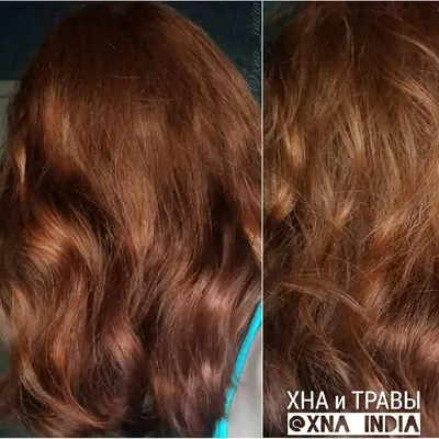 Цвет волос | Отзыв от Yumico122 | Косметиста