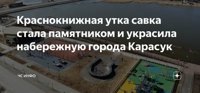 Лучшими в стране признаны площадь Куйбышева и «Савка» из Карасука | Новости  – Gorsite.ru