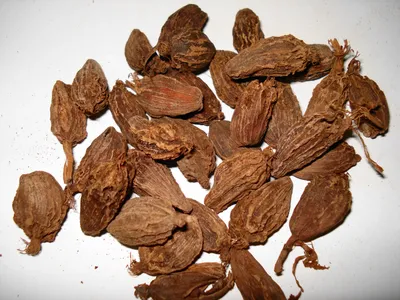 Кардамон зеленый семена (green cardamoms seeds) ТиАрЭс, 50г TRS 155289046  купить за 563 ₽ в интернет-магазине Wildberries